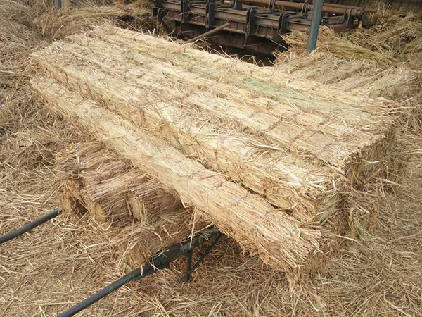 使用條形草支墊，原來還有這些效果！